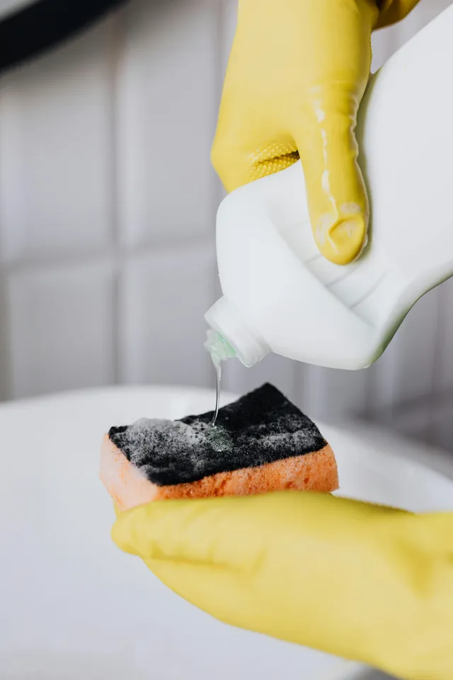 Professional cleaning services in Sunnyvale