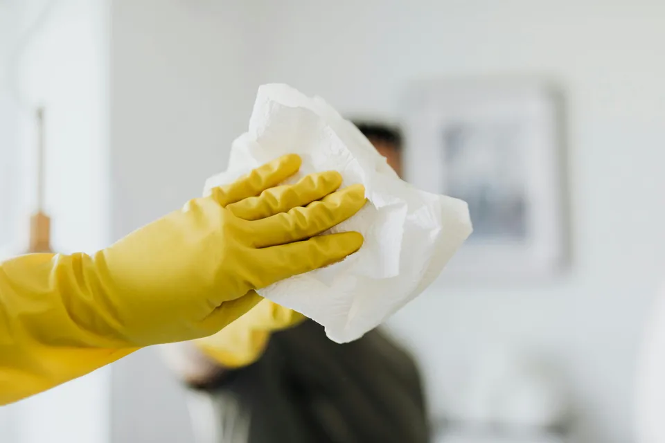 Professional cleaning services in Hayward