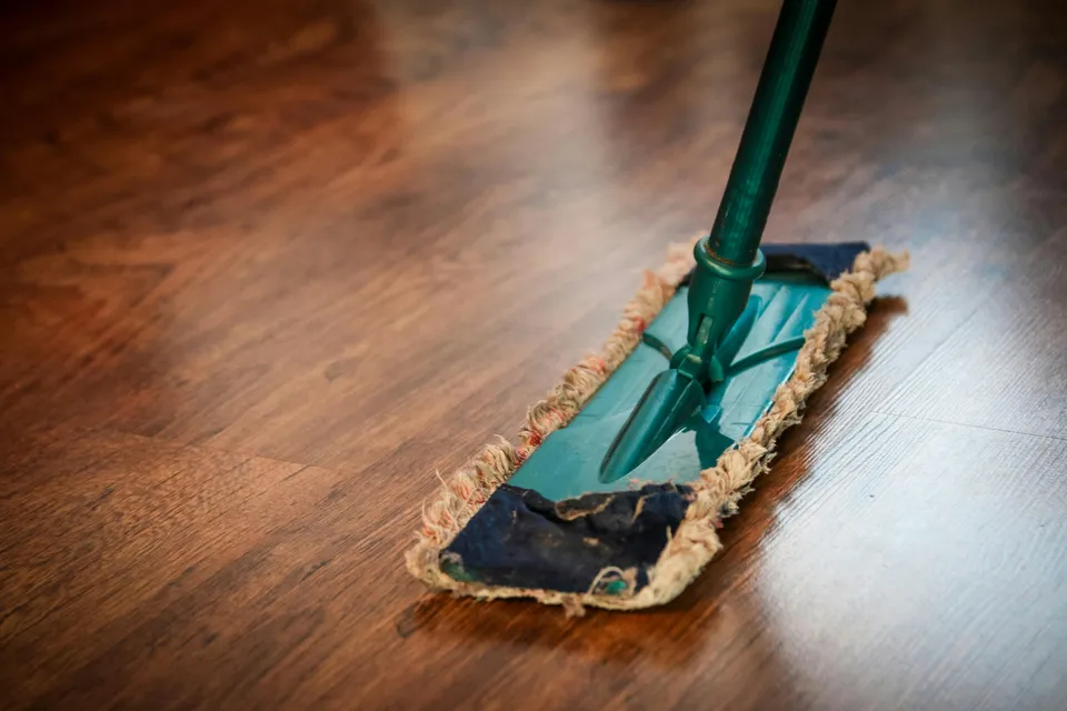 Professional cleaning services in San Carlos