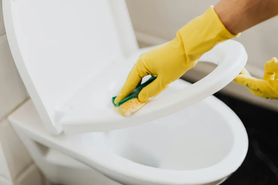 Professional cleaning services in Belmont