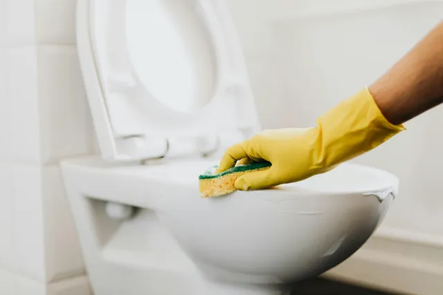 Professional cleaning services in Los Gatos